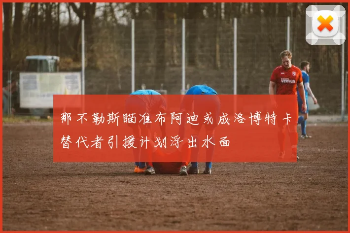 那不勒斯瞄准布阿迪或成洛博特卡替代者引援计划浮出水面