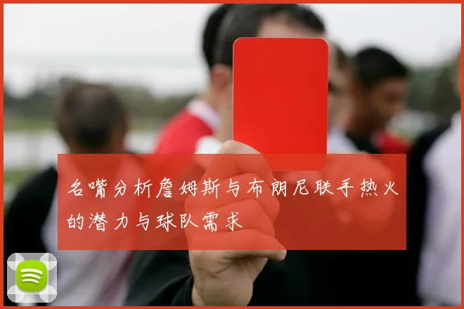 名嘴分析詹姆斯与布朗尼联手热火的潜力与球队需求