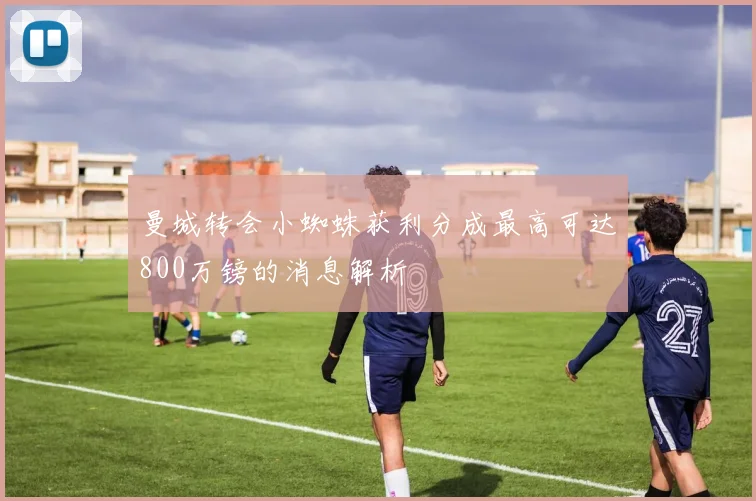曼城转会小蜘蛛获利分成最高可达800万镑的消息解析