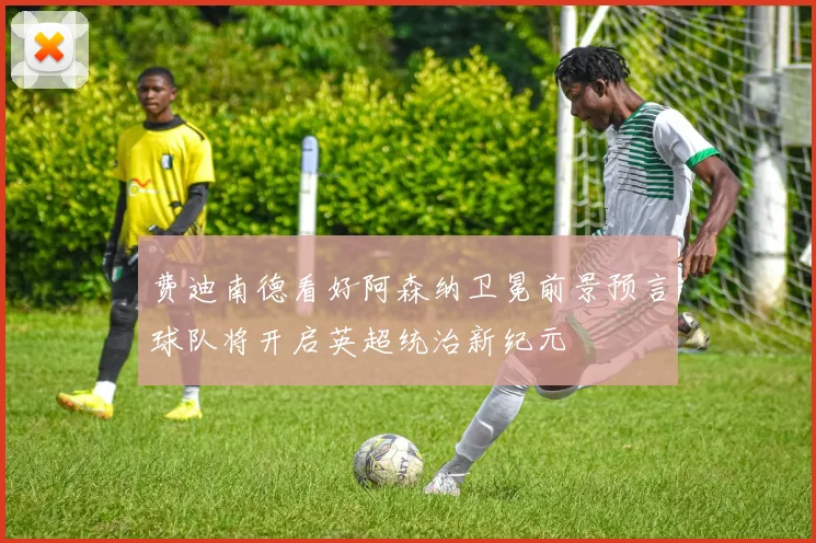 费迪南德看好阿森纳卫冕前景预言球队将开启英超统治新纪元